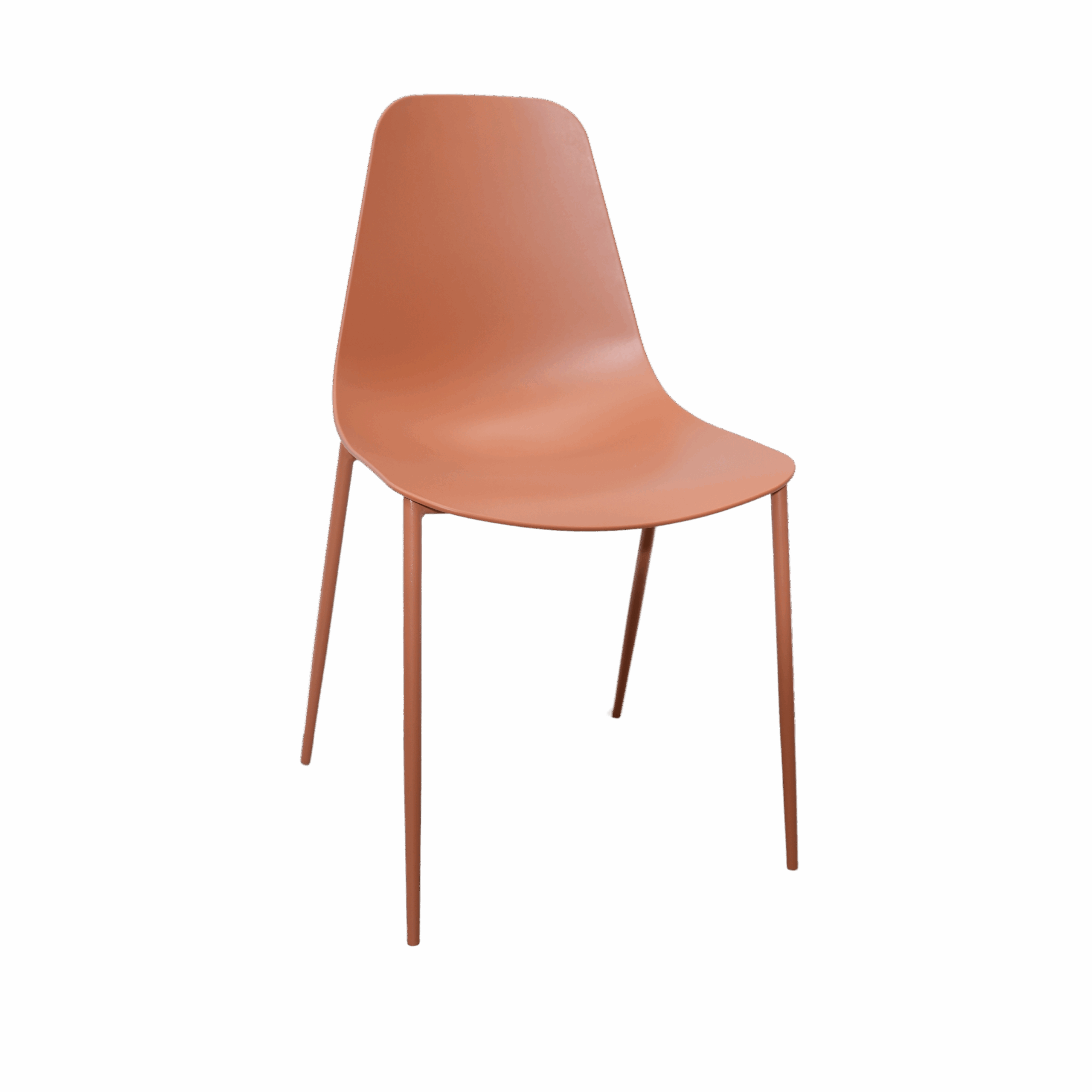 DSC01135 - נערך